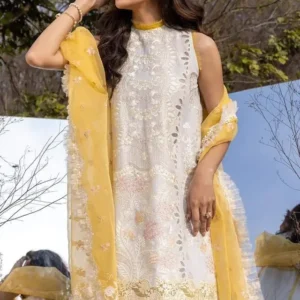 Luxury Eid Collection 2025 – Asifa Nabeel Exclusive